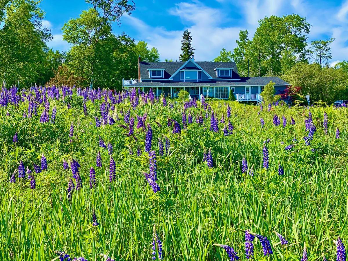 Broadwater Inn & Cottages Baddeck Inlet Екстериор снимка